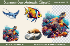 Summer Sea Animals Clipart Bundle PNG Product Image 11