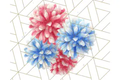 Patriotic Accessories Clipart PNG for 4th of July Product Image 4