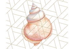 Natural Seashell Clipart PNG, Summer Nautical Beach Shell Product Image 4