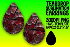 Agate Enchantment Teardrop Earrings Product Image 1