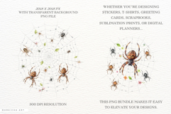 Spring Spider Webs Clipart Product Image 3