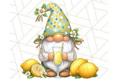 Summer Garden Gnomes Clipart PNG, Summer Country Gnomes Png Product Image 4