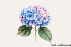 Watercolor Spring Flowers Clipart PNG Product Image 1