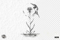 Summer Wildflowers &amp; Songbird Clipart Product Image 1