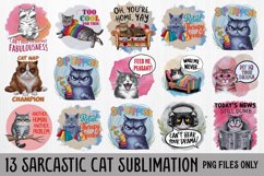Sarcastic Cat Quotes Sublimation Bundle, Sublimation Bundle Product Image 1