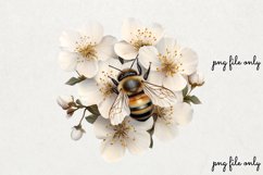 Spring Bees Clipart PNG Product Image 1