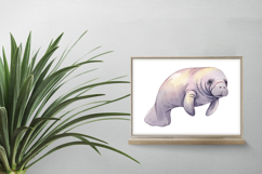 Cute Manatee Sea Cow Marine Mammal Ocean PNG Summer Dugong Product Image 2