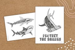 Sharks Educational Activities Product Image 2