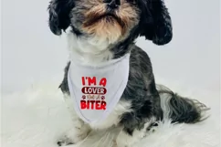 I'm A Lover Not A Biter SVG, Dog Bandana SVG Design Product Image 3