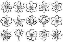 36 Floral Wildflower Flowerheads Illustration Clipart PNG Product Image 2