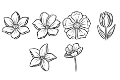 36 Floral Wildflower Flowerheads Illustration Clipart PNG Product Image 4