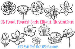 36 Floral Wildflower Flowerheads Illustration Clipart Outlines SVG PNG by Squeeb Creative