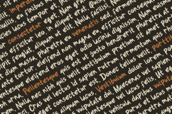 Grandore - Display Font Product Image 6