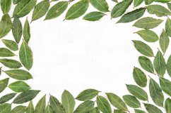 Floral flat lay green leaves frame stock photo Product Image 1