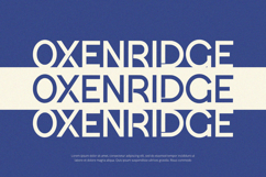 Glacier - Display Font Product Image 6
