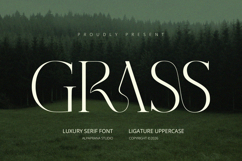Grass - Serif Font Product Image 1