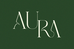 Grass - Serif Font Product Image 2