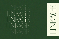 Grass - Serif Font Product Image 3