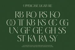 Grass - Serif Font Product Image 4