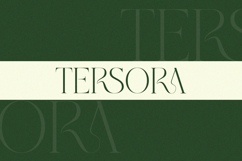 Grass - Serif Font Product Image 6