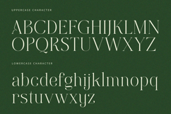 Grass - Serif Font Product Image 8