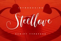 Web Font Steellove Product Image 1