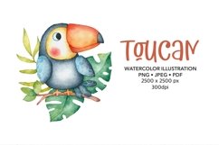 Toucan Watercolor illustration Cute Bird Sublimation design Product Image 1