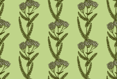 Botanical floral seamless pattern with wildflowers vector Product Image 1