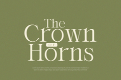Orlington - Serif Font Product Image 2