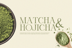 Orlington - Serif Font Product Image 4
