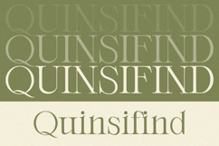 Orlington - Serif Font Product Image 5