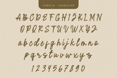 Camelia - Script Font Product Image 7