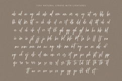 Selestia Signature - Handwritten Font Product Image 5