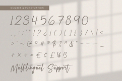 Selestia Signature - Handwritten Font Product Image 9