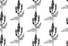 Line art botanical seamless floral pattern with lilac branch Product Image 1