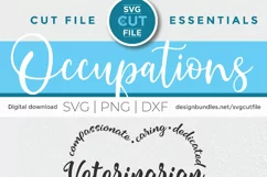 Veterinarian svg, vet svg with paw print - cute pawprint svg Product Image 6