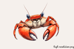 Watercolor Coastal Clipart PNG Product Image 1