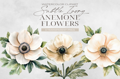 Ivory Anemone Flowers Clipart, Watercolor PNG Product Image 1