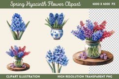 Spring Hyacinth Flower Clipart Bundle PNG Product Image 16