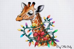 Christmas Giraffes Clipart PNG Product Image 1