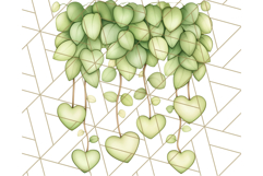 Pastel Safari Jungle Baby Animals PNG Clipart, Nursery Product Image 5
