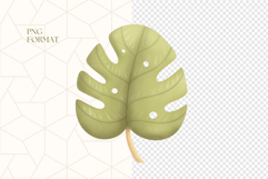 Monstera Leaves Clipart PNG Product Image 4