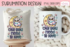 Owl you need is love PNG, Valentines day sublimation PNG Product Image 4