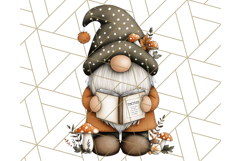 Thanksgiving Gnome Clipart PNG Cute Fall Gnomes, Gnome Png Product Image 5
