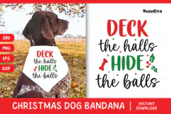 Christmas Dog Bandana Quotes SVG | Hide the Balls Product Image 1