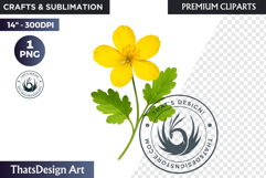 Flower Clipart PNG, Botanical Illustration Floral graphic Product Image 1