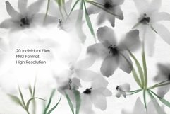 White and Grey Watercolour Flowers Clipart Product Image 2