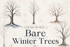 Bare Winter Trees PNG Clipart Bundle | Winter Tree Product Image 1