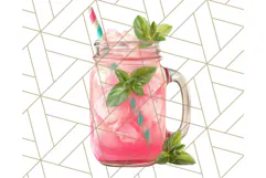 Pink and Mint Summer Clipart PNG Beach Icons, Summer Fun Png Product Image 5