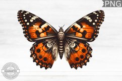 Halloween Butterfly Clipart - Halloween Sublimation PNG Product Image 1